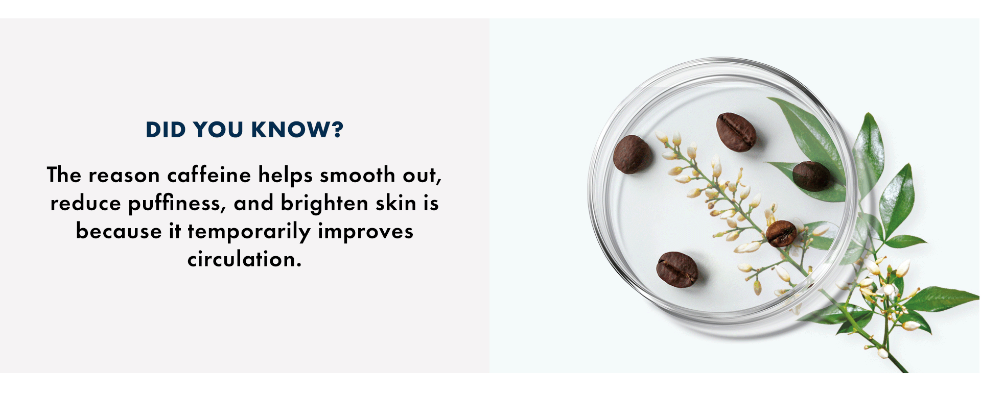 Body Balance Firming Range