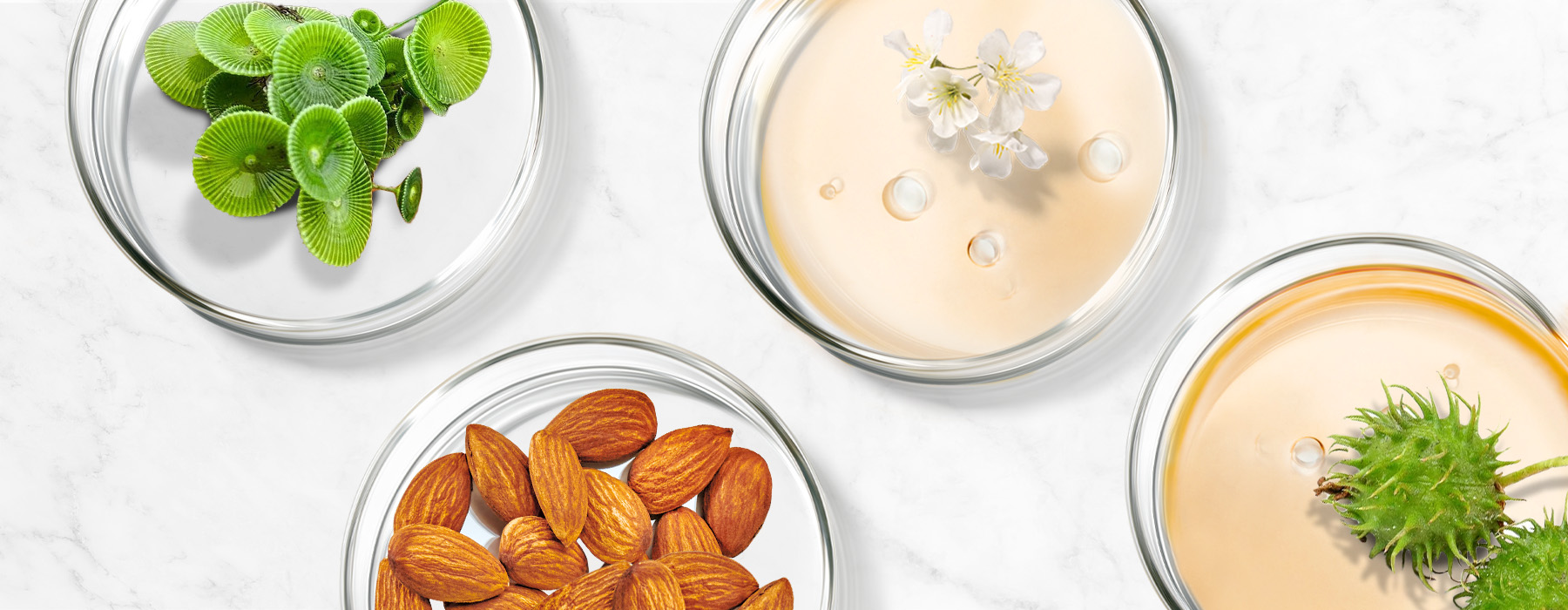 Restore your skin’s natural beauty the real way